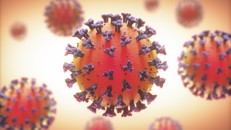 Illustration coronavirus