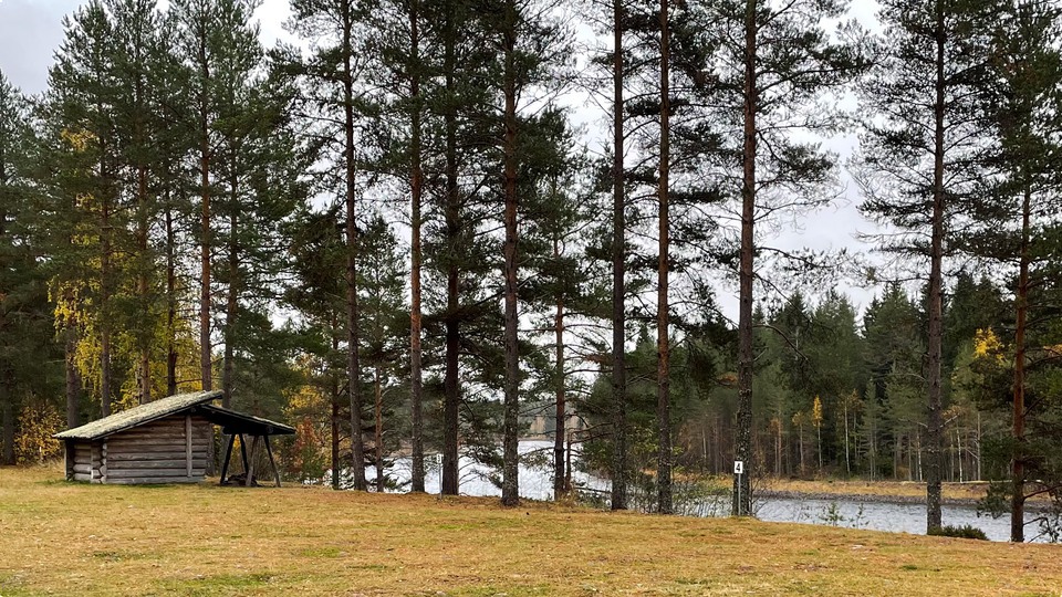 Campingplats Österdalälven Lokarakan norra på hösten.